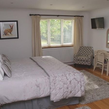 Cherry Tree Guesthouse Bradford-On-Avon الغرفة الصورة